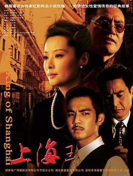 上海王2008电视剧全32集