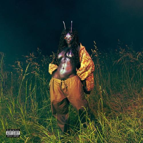 Good Days (Explicit)歌词-SZA