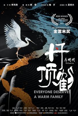 丹顶鹤电影正片