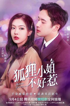 狐狸小姐不好惹电视剧全24集
