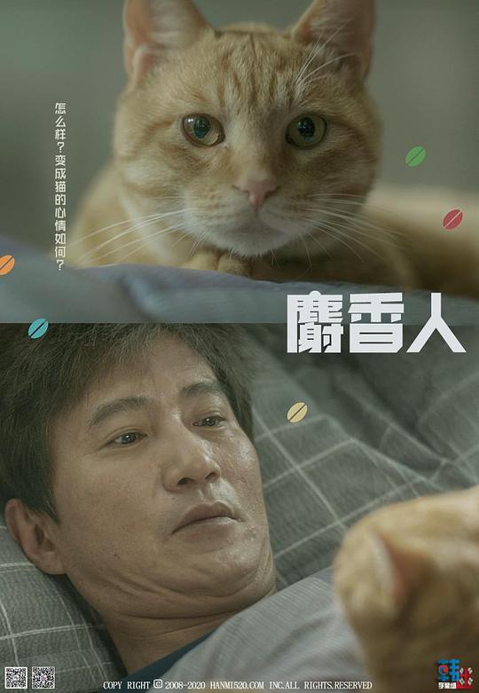 麝香人电视剧全2集