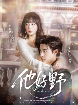 他好野短剧全65集