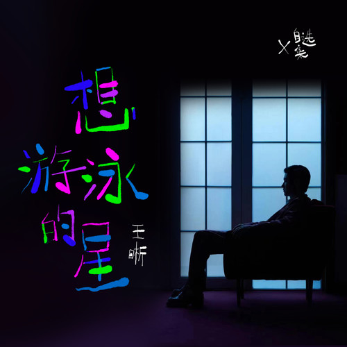想游泳的星歌词-王晰