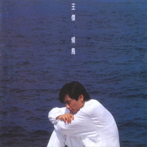 爱得太多歌词-王杰