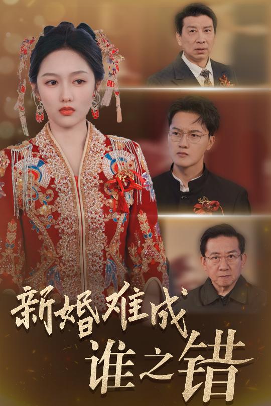 新婚难成谁之错短剧全29集
