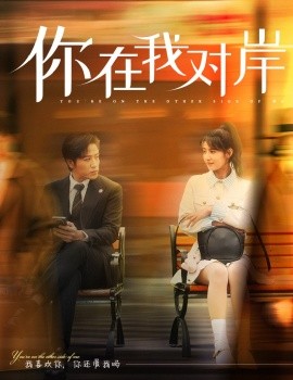 你在我对岸短剧全31集