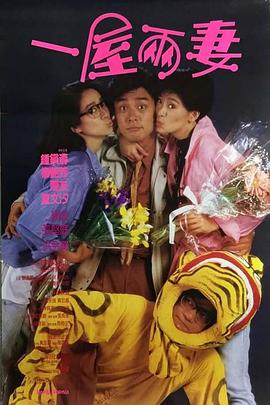 一屋两妻电影HD国语版