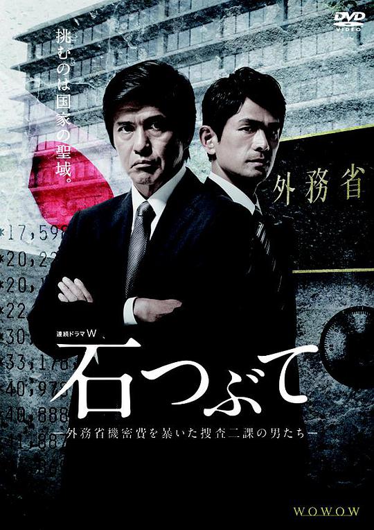 砾石电视剧全8集