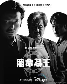 赌命为王第二季电视剧全8集