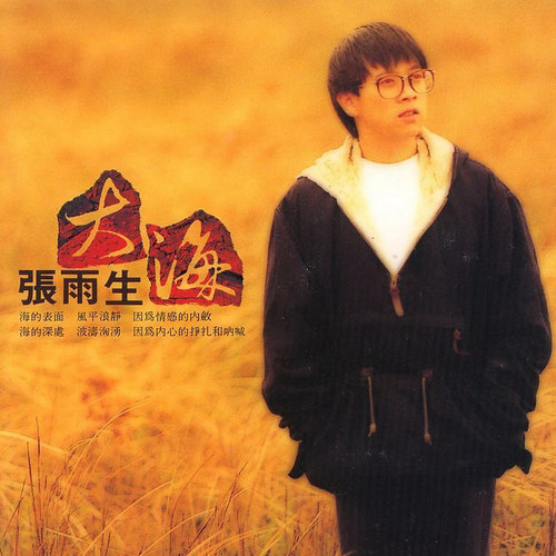 挣扎歌词-张雨生