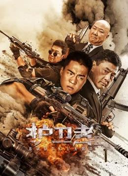 护卫者2电影HD国语
