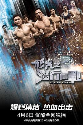飞虎之潜行极战粤语版电视剧全30集