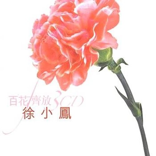 午夜狂歌歌词-徐小凤