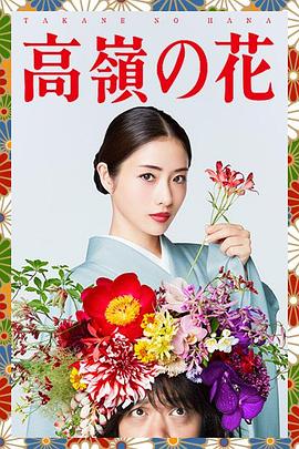 高岭之花电视剧全10集