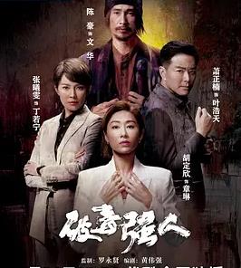 破毒强人粤语电视剧全30集