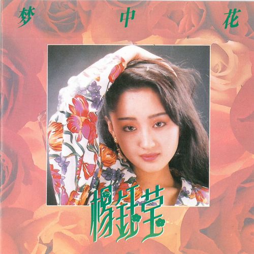 我不需要你的安慰歌词-杨钰莹