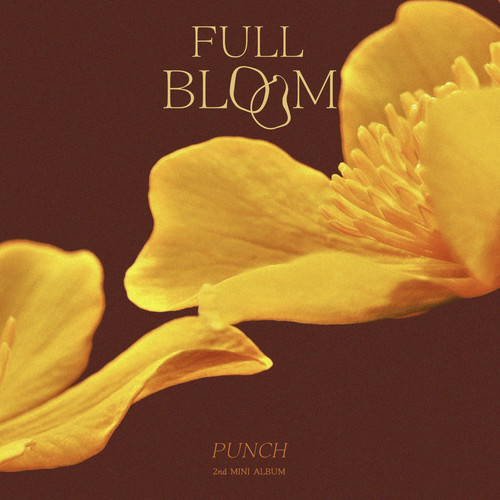 나의 바람 (Wind) (Inst.)歌词-PUNCH (펀치)