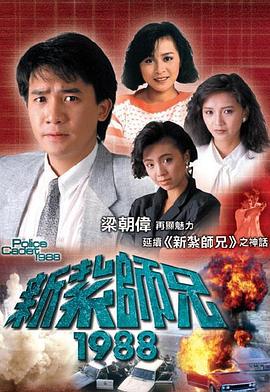 新扎师兄1988国语电视剧全40集