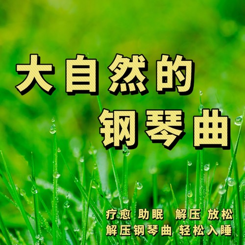 听雨想起你歌词-张宇桦