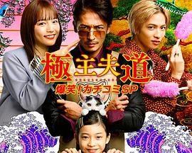 极主夫道 爆笑！找碴电视剧更新至sp