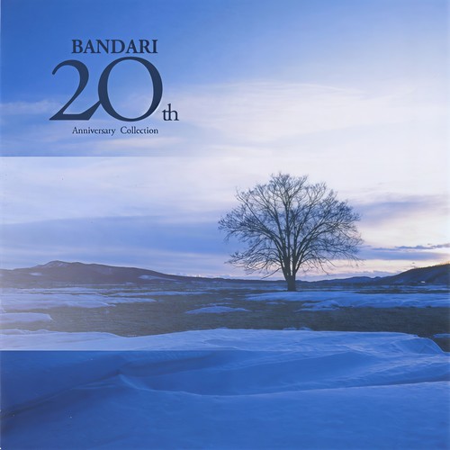 Woodland Night歌词-Bandari