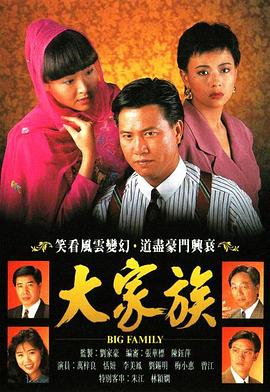 大家族电视剧全30集