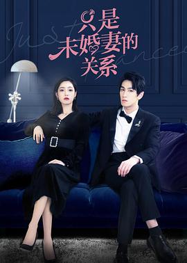 只是未婚妻的关系电视剧全22集