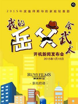 我的岳父会武术电视剧全39集