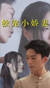 独宠小娇妻短剧全101集