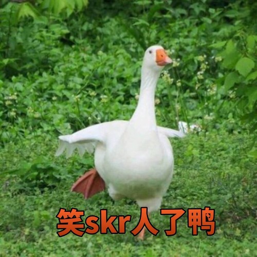 给你挣钱$歌词-封茗囧菌
