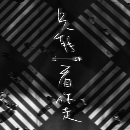 只能看你走歌词-王北车