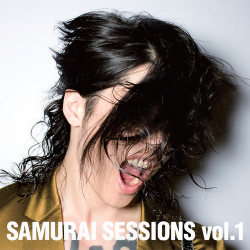 PLEASURE!歌词-雅MIYAVI (石原崇雅) / H Zett M