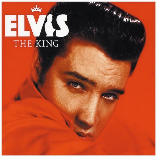 Too Much歌词-Elvis Presley