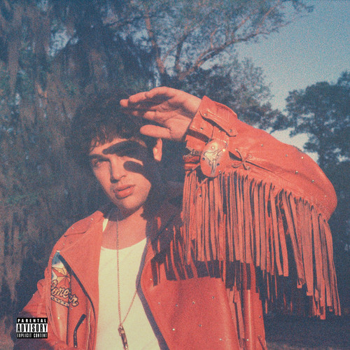 Feels Like Love歌词-Austin Mahone