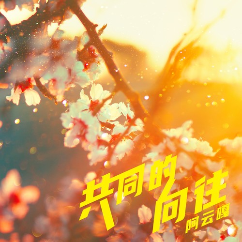 共同的向往 (伴奏)歌词-阿云嘎