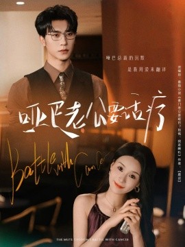 哑巴老公要话疗短剧全78集