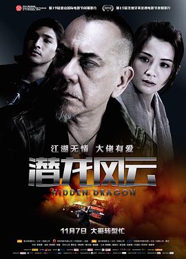 潜龙风云电影HD国语版
