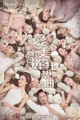 爱美丽狂想曲粤语电视剧全30集