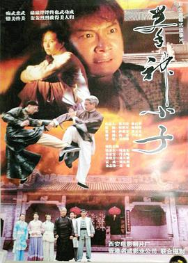 拳神小子电影HD国语版