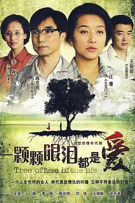 一颗颗眼泪都是爱电视剧全32集