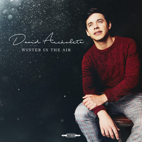 In the Bleak Midwinter歌词-David Archuleta