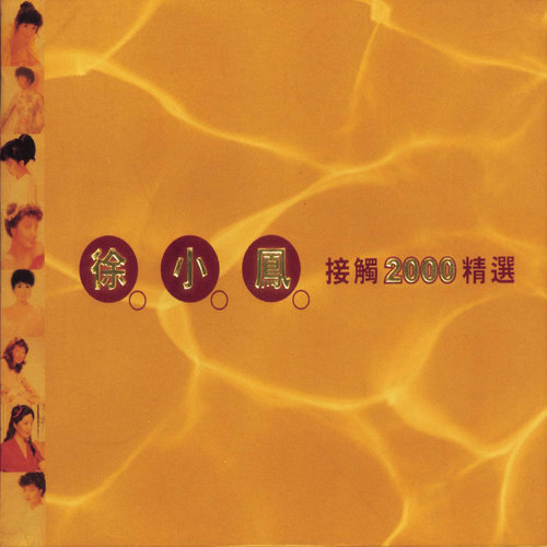 月色眼内浮歌词-徐小凤