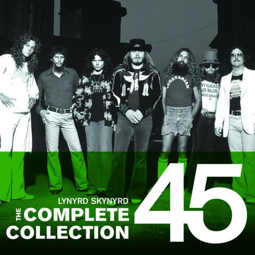 Was I Right Or Wrong (Album Version)歌词-Lynyrd Skynyrd