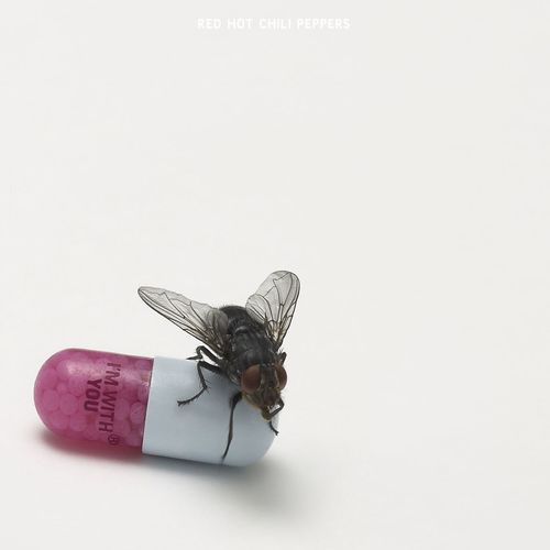 This Is the Place (Explicit)歌词-Red Hot Chili Peppers