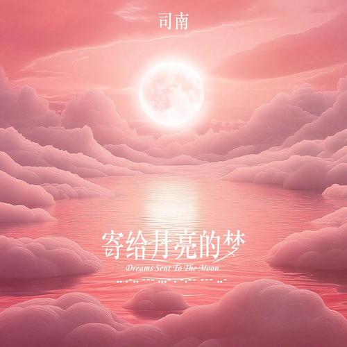 寄给月亮的梦歌词-司南