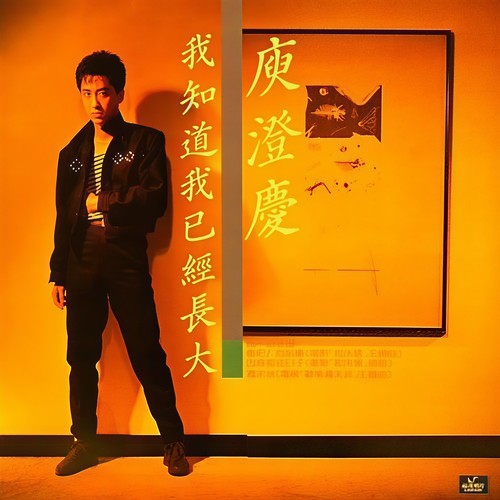 我知道我已经长大 (舞曲版)歌词-庾澄庆
