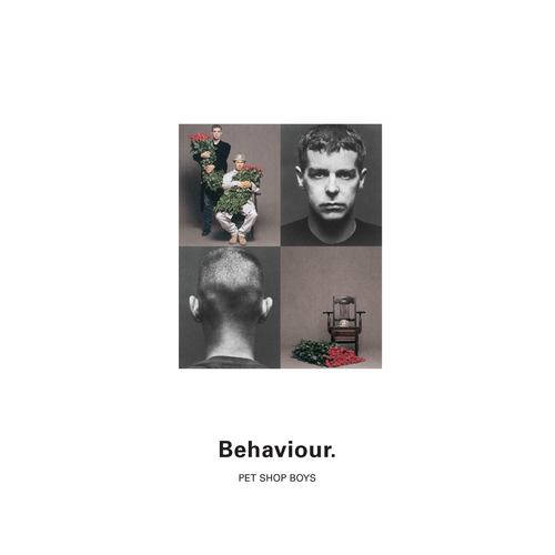 How Can You Expect To Be Taken Seriously? (2001 Digital Remaster)歌词-Pet Shop Boys