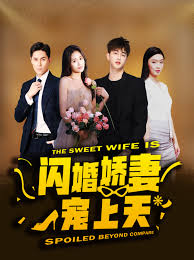 闪婚娇妻宠上天短剧全87集