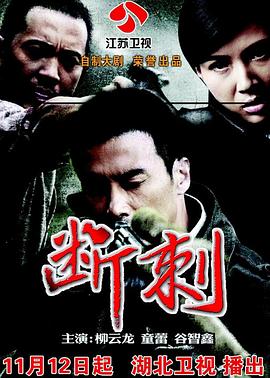 断刺电视剧全32集